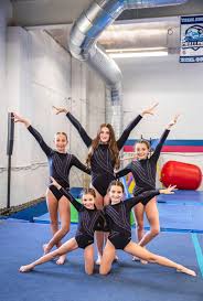 Image result for Mo-Gylity Gymnastics Club