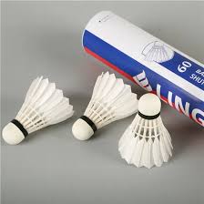 Image result for Lings Badminton Club