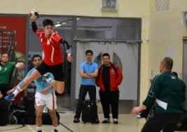 Image result for Deva Handball Club
