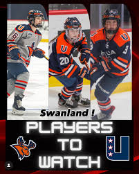 Image result for Swan`s Hockey Club