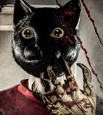 Image result for cat man