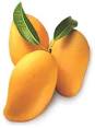 Pakistani Mangos