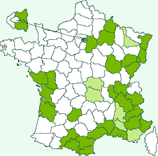 Attēlu rezultāti vaicājumam “Nyctegretis lineana”