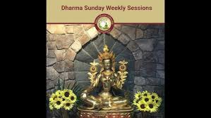 Attēlu rezultāti vaicājumam “Badhamia bethelii stalked”