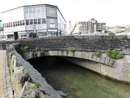 Image result for Newton Abbott Knights