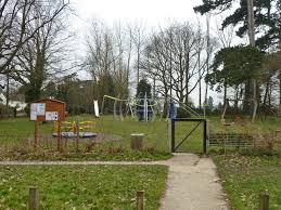 Image result for Gosfield CC