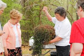 Image result for Wiggington Bowling Club