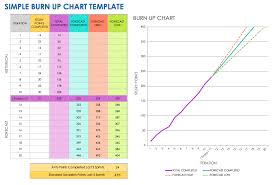 Image result for burnup chart