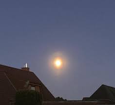 Attēlu rezultāti vaicājumam “pollen corona”