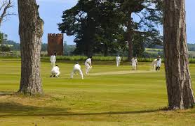 Image result for Burwarton Cricket Club