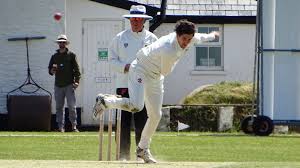 Image result for North Down Cricket Club