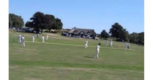 Image result for Lyndhurst Cricket Club