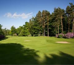 Image result for Harrogate Golf Club