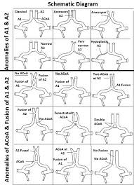 Image result for /ACoA