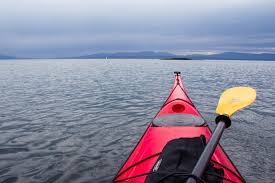 Image result for Bute Kayak Club