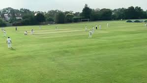 Image result for Old Paulines Cricket Club