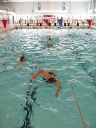 Image result for Haywards Heath Swimming Club