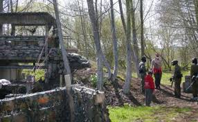 Image result for OX Kings - Paintball