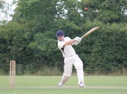 Image result for Welwyn Garden City Cricket Club