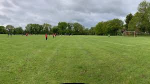 Image result for Oxted & District Junior Fc