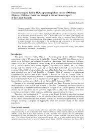 Attēlu rezultāti vaicājumam “Tetanops myopina”