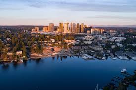 Image result for Bellevue