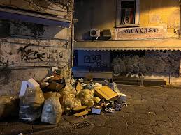 Image result for napoli garbage