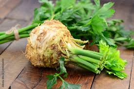 Image result for Sellerie