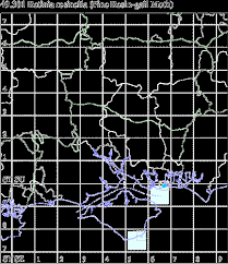 Attēlu rezultāti vaicājumam “Retinia resinella pupa”