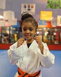Image result for America's Best Karate
