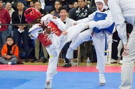 Image result for Martial Arts New Jersey