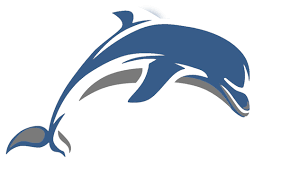 Image result for Dolphin Sub Aqua