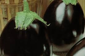 Afbeeldingsresultaat voor melanzana prosperosa eggplant