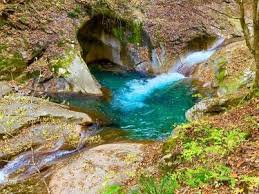 「西沢一樹」の画像検索結果