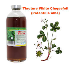 Attēlu rezultāti vaicājumam “Potentilla alba”