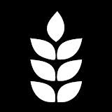 Image result for Chapeltri Co Uk