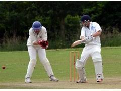 Image result for Bishops Waltham Cricket Club