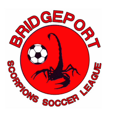 Image result for South Shore Cricket & Squash Club(Inc Scorpions Amateur Rugby League Club)