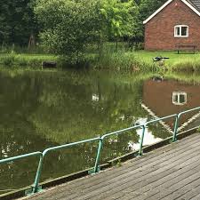 Image result for Bay Malton Angling Club