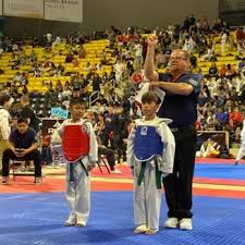 Image result for Quest Taekwondo