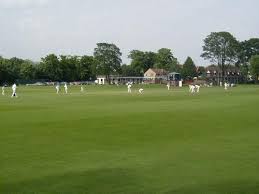 Image result for Mildenhall Cricket Club