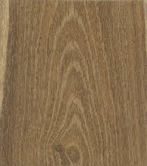 Attēlu rezultāti vaicājumam “Laburnum”