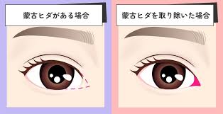 「烏頭目 いつわりびと空」の画像検索結果