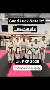 Image result for Inyo Karate Do Ninbukan