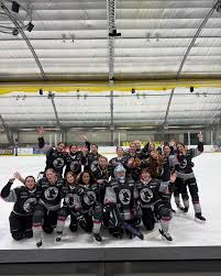 Image result for Haringey Greyhounds Ice Hockey Club