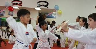 Image result for Kidderminster Tae Kwon Do Tigers