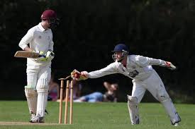 Image result for Southwell Cricket Club