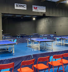 Image result for Pavilion Table Tennis Club