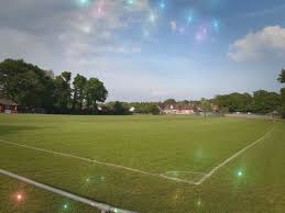 Image result for Chiddingfold Youth Fc