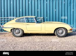 Image result for Pale Primrose 1965 Jaguar
